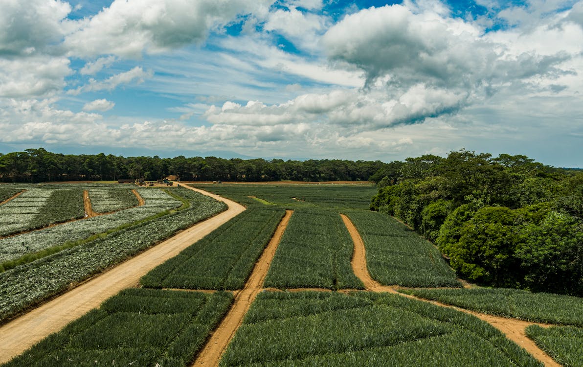 How to Sell Agricultural Land in Pennsylvania?